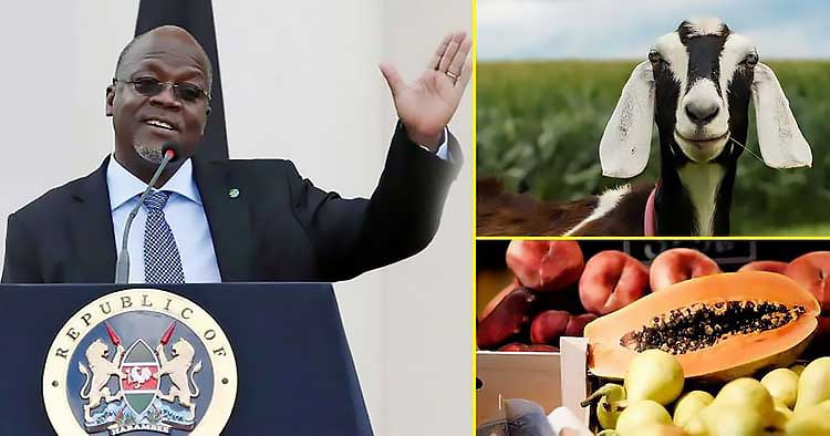president-tanzania-1